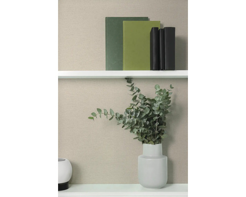 Police s knihami a eukalyptem ve váze