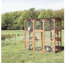 Dřevěná venkovní klec pro kočky se sítí a dvěma kočkami na zahradě