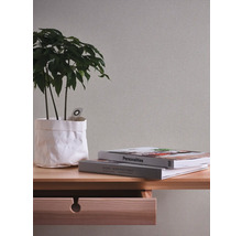 Dekorativní scéna s pokojovou rostlinou, knihami a dřevěnou konzolou