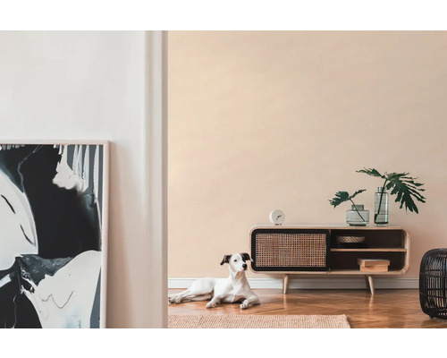 Obývací pokoj s dřevěnou skříňkou, dekorací, uměleckým dílem a psem na koberci.