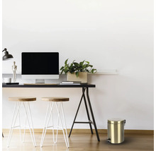 Scéna se stolem, židlemi, monitorem počítače, rostlinou a kovovým kbelíkem s nožním pedálem.