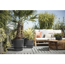 Terasa s rostlinami v šedých květináčích a posezením