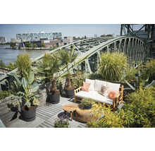 Střešní terasa s dřevěnou podlahou, lavice s polštáři, stoly a rostliny před ocelovým mostem.