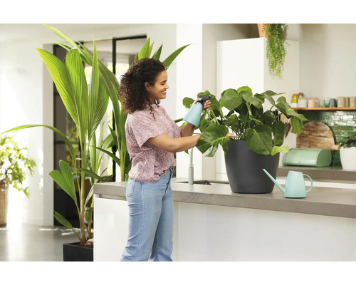 Žena zalévá pokojovou rostlinu v kuchyni pomocí rozprašovače