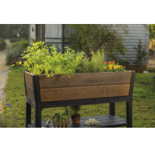 Vyvýšený záhon ze dřeva a kovu osázený rostlinami na zahradě.