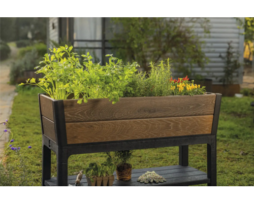 Vyvýšený záhon ze dřeva a kovu osázený rostlinami na zahradě.