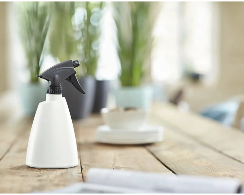 Rozprašovač na rostliny na dřevěném stole