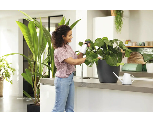 Žena stříká pokojovou rostlinu rozprašovačem v kuchyni
