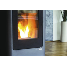 Detailní pohled na kamna na pelety s hořícím ohněm za sklem a logem Haas und Sohn