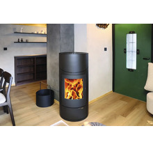 Obývací pokoj s kamny, dřevěnou podlahou a regály