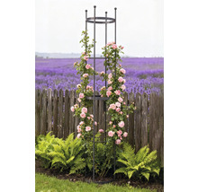 Kovová opora pro popínavé rostliny s růžemi na zahradě