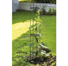 Zahradní scéna s podpěrou pro popínavé rostliny a okurkou na záhoně.