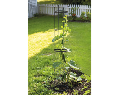 Zahradní scéna s podpěrou pro popínavé rostliny a okurkou na záhoně.