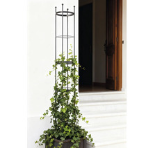 Květináč s podpěrou pro popínavé rostliny a břečťanem před vchodem do domu