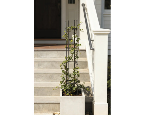 Květináč s mřížovou konstrukcí a břečťanem na schodišti před domem.