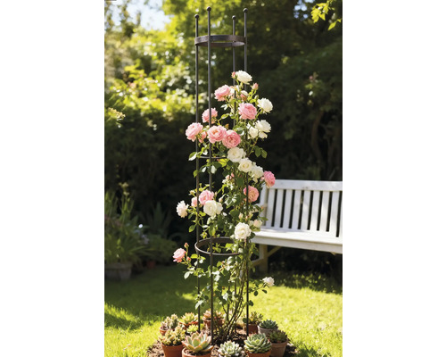 Kovová lezecká podpěra s růžemi a sukulenty na zahradě