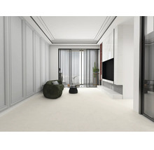 Světlý obývací pokoj s pohovkou, konferenčním stolkem a televizní stěnou