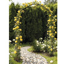 Černá růžová brána se žlutými růžemi v zahradě nad kamennou cestou