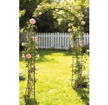 Oblouk na růže na zahradě s růžemi