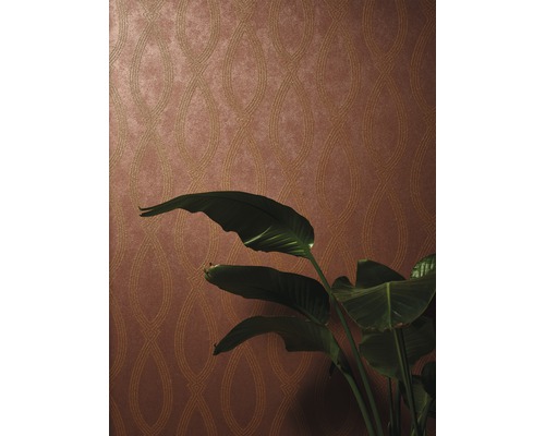 Detailní záběr vzorované tapety a pokojové rostliny