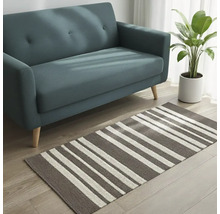 Scéna s pohovkou, pokojovou rostlinou a pruhovaným kobercem