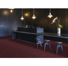 Recepce s tmavým pultem, stojacími lampami a kobercem