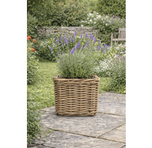 Levandule ve čtvercovém ratanovém květináči na kamenné terase v zahradě.