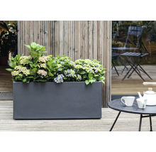 Květináč s hortenziemi na terase