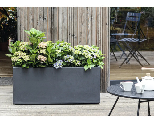 Květináč s hortenziemi na terase