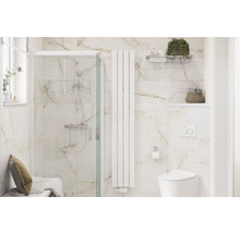 Moderní koupelna se sprchou, radiátorem a toaletou