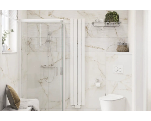 Moderní koupelna se sprchou, radiátorem a toaletou