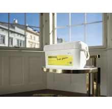 Kbelík barvy Abamal proti plísním na stole