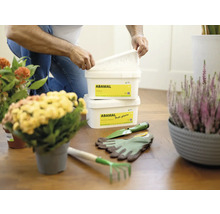 Scéna s přípravky proti plísním Abamal Proti plísním, zahradním nářadím a pokojovými rostlinami na dřevěné podlaze