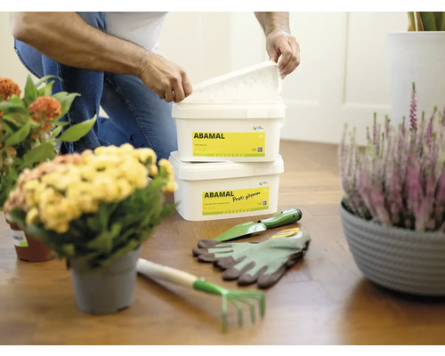 Scéna s přípravky proti plísním Abamal Proti plísním, zahradním nářadím a pokojovými rostlinami na dřevěné podlaze
