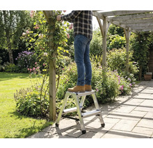 Muž stojí na schůdcích na zahradě a stříhá růže