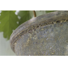 Detailní pohled na květináč se strukturovaným povrchem