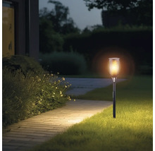 Zahrada se svítící solární pochodní podél cesty