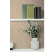 Dekorativní police s knihami a vázou s eukalyptem