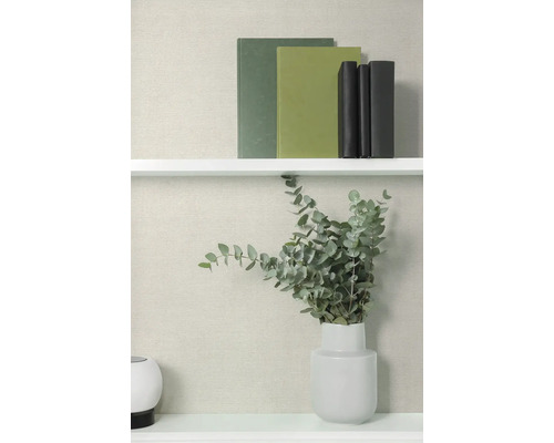 Knihy na polici a eukalyptus ve váze