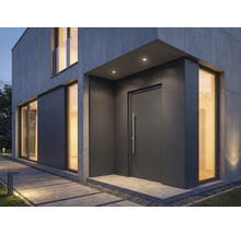 Moderní dům s vchodovými dveřmi, okny a kamennou cestou