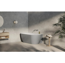 Moderní koupelna s volně stojící vanou, umyvadlem a pokojovou rostlinou