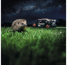 Ježek v trávě s robotickou sekačkou v pozadí pod hvězdnou oblohou