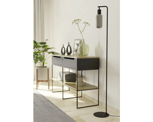 Dekorativní obytné prostředí s komodou, stojací lampou a pokojovou rostlinou