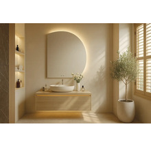 Moderní koupelna s umyvadlem, zrcadlem a rostlinou