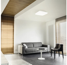 Obývací pokoj s pohovkou, židlí, žaluziemi a stropním svítidlem