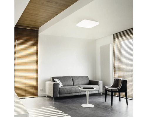 Obývací pokoj s pohovkou, židlí, žaluziemi a stropním svítidlem