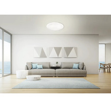 Světlý obývací pokoj s moderním stropním svítidlem, pohovkou a kobercem