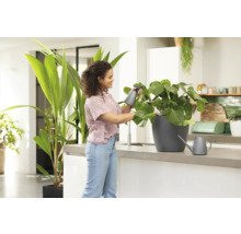 Žena zavlažuje pokojovou rostlinu rozprašovačem ve světlé kuchyni.