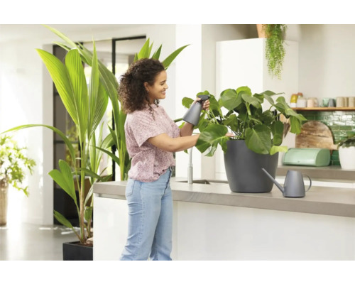 Žena zavlažuje pokojovou rostlinu rozprašovačem ve světlé kuchyni.