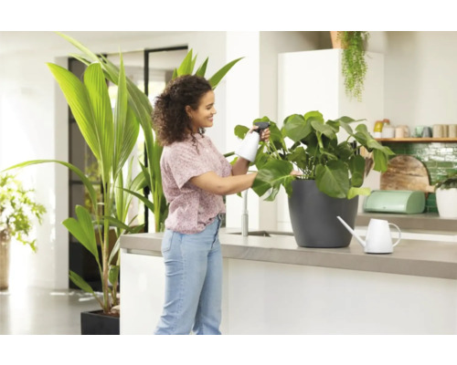 Žena stříká pokojovou rostlinu rozprašovačem ve světlé kuchyni